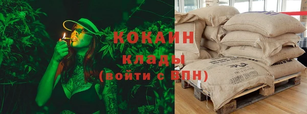 шишки Белокуриха