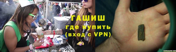 шишки Белокуриха