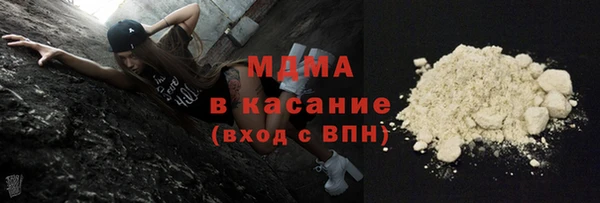 шишки Белокуриха