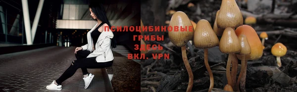 apvp Белоозёрский