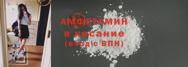 шишки Белокуриха