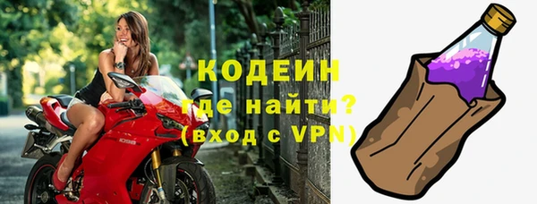 шишки Белокуриха