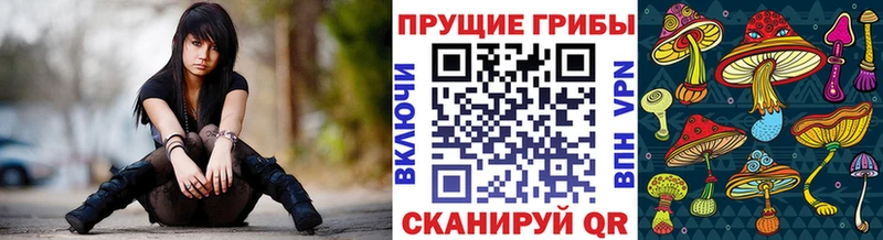 где найти наркотики  Великие Луки  Галлюциногенные грибы мухоморы 